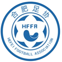 合肥U18女足队标,合肥U18女足图片